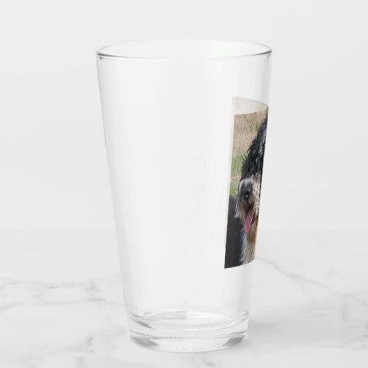 Spanischer Wasserhund Glas (Rechts)