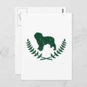 Spanischer Wasserhund Postkarte (Vorne/Hinten)