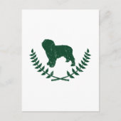 Spanischer Wasserhund Postkarte (Vorderseite)