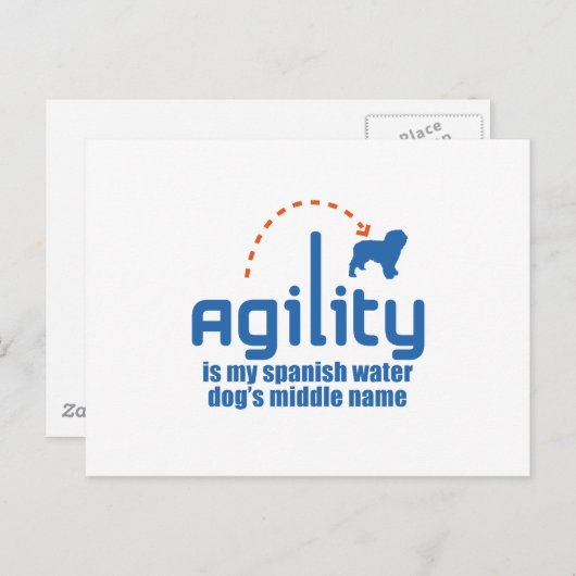 Spanischer Wasserhund Postkarte (Vorne/Hinten)