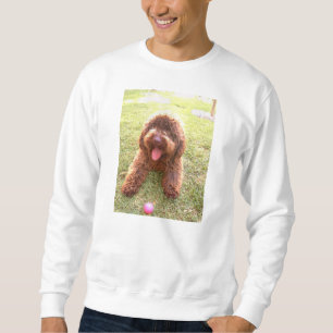 spanischer Wasserhund w Spielzeug.png Sweatshirt