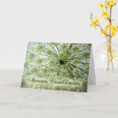 Spanisches Beileid, Königin Anne's Lace, Blume Karte (Gelbe Blume)