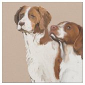 spanisches Bretagne Stoff (Nahaufnahme)