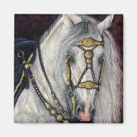 Spanisches Gold - Andalusisches Pferd