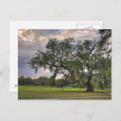 Spanisches Moos im Live-Eichen Postkarte (Vorne/Hinten)