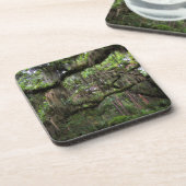 Spanisches Moos schmückte Live Oak Getränkeuntersetzer (Linke Seite)