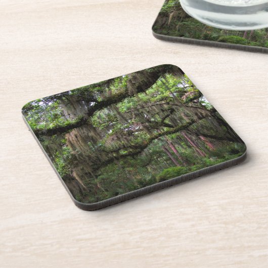 Spanisches Moos schmückte Live Oak Getränkeuntersetzer (Linke Seite)