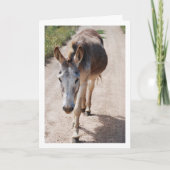 Spanisches Mule-Portrait Karte (Vorderseite)