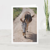 Spanisches Mule-Portrait Karte (Vorderseite)