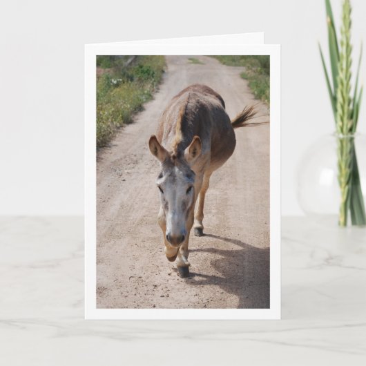 Spanisches Mule-Portrait Karte (Vorderseite)