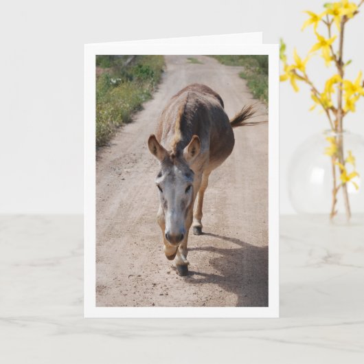 Spanisches Mule-Portrait Karte (Gelbe Blume)