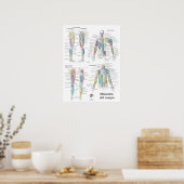 Spanisches Muskelanatomie-Diagramm Poster (Küche)