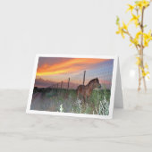 Spanisches Pferd bei Sonnenuntergang Karte (Gelbe Blume)