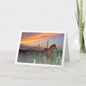 Spanisches Pferd bei Sonnenuntergang Karte (Vorderseite)