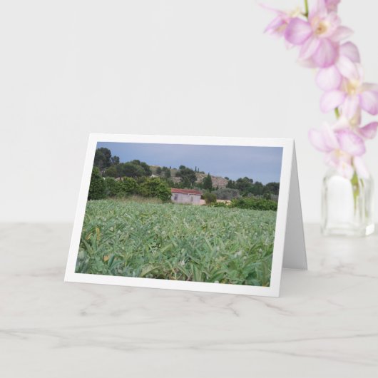 Spanish Artichoke Field, Valencia, Spain Karte (Orchidee)