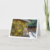 Spanish Street Art, Valencia City Karte (Vorderseite)