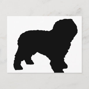 spanish_water_dog_silho.png postkarte