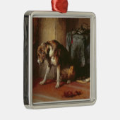 Spannung Silbernes Ornament (Rechts)