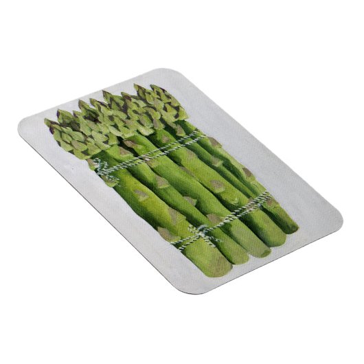 Spargel 2013 magnet (Rechte Seite)