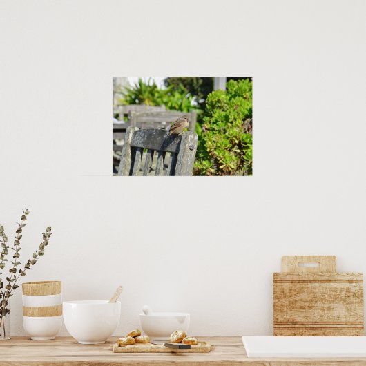 Spargel auf einem Gartenstuhl Poster (Küche)