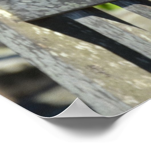 Spargel auf einem Gartenstuhl Poster (Ecke)