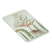 Spargel in Blume und Obst aus dem "Ho Magnet (Rechte Seite)