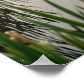 Spargel-Reiher-Kanal Poster (Ecke)