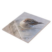 Spargel - Übergewicht Fliese (Seite)