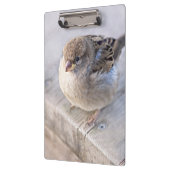 Spargel - Übergewicht Klemmbrett (Links)