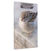 Spargel - Übergewicht Klemmbrett (Rechts)