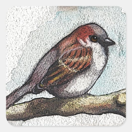 Spargel: Vögel, Wasserfarbe, Steine, Steine Quadratischer Aufkleber (Vorderseite)