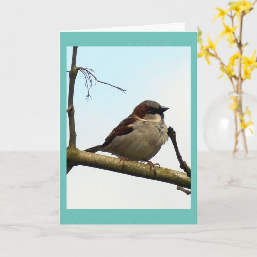 Spargelvogel Karte (Gelbe Blume)