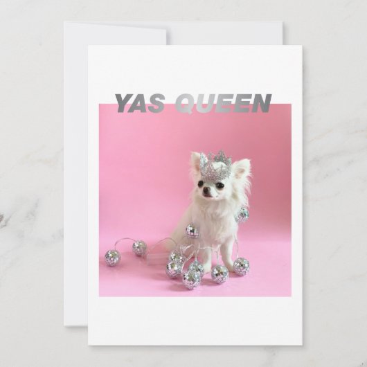 Sparkle Die Tiny Chi | Hund Lover Glückwunschs Fot Karte (Vorderseite)