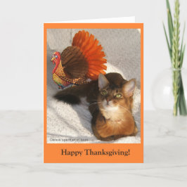 Sparkle Erntedank Kitty Card Feiertagskarte