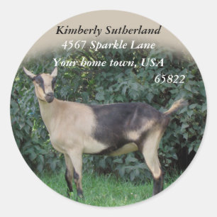 Sparkle Stickers anpassen