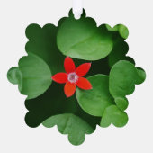 Sparkling Diamond und kleine rote Blume Ornament Karte (Rückseite)