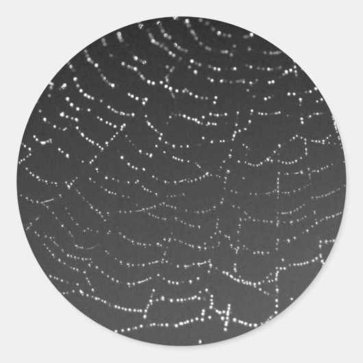 Sparkling Spiderweb Runder Aufkleber (Vorderseite)