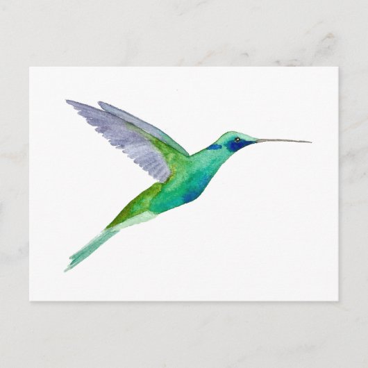 Sparkling Violetear Hummingbird Postkarte (Vorderseite)