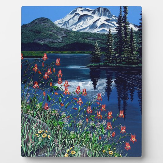 Sparks Fotoplatte (Vorderseite)