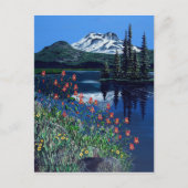 Sparks Postkarte (Vorderseite)