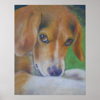 Sparky Hund: Augen Poster