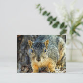 Sparky-Postkarte Postkarte (Stehend Vorderseite)