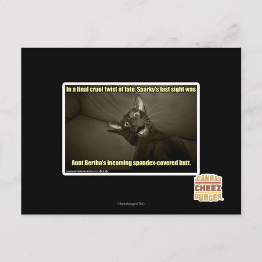 Sparkys letzter Anblick Postkarte (Vorderseite)