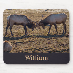 Sparring Bull Elk Individuelle Name Mousepad