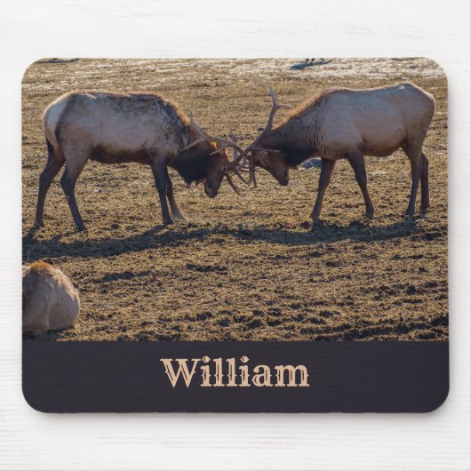Sparring Bull Elk Individuelle Name Mousepad (Vorne)