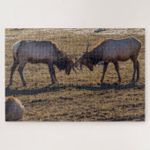 Sparring Bull Elk Puzzle (Horizontal)