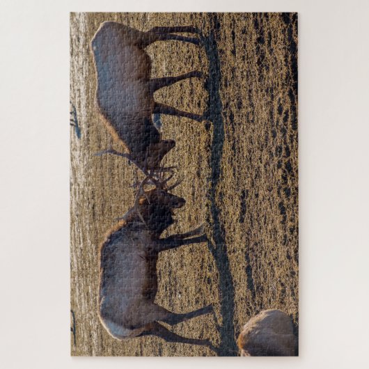 Sparring Bull Elk Puzzle (Vertikal)