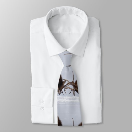 Sparring Elch Necktie Krawatte (Gebunden)