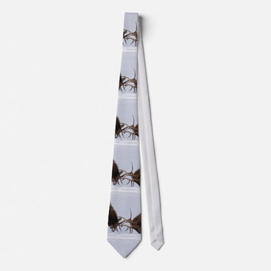Sparring Elch Necktie Krawatte (Vorderseite)