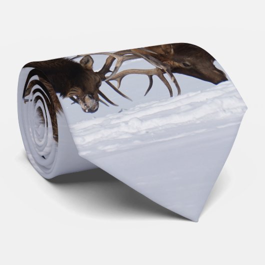 Sparring Elch Necktie Krawatte (Gerollt)